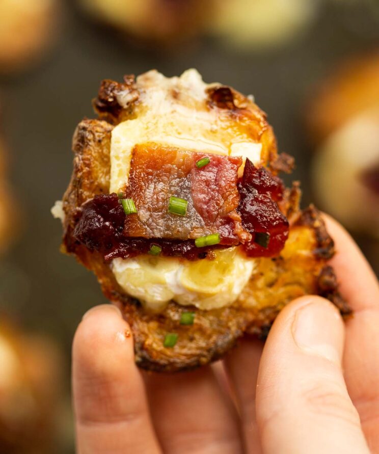 fechar uma foto aérea de uma mão segurando brie, bacon e cranberry, batata amassada